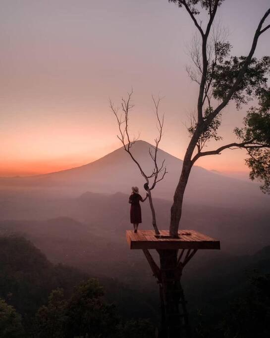 Magic Hills Bali - Magical Eco-luxury * Selat